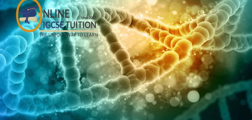 Online Biology Tuition